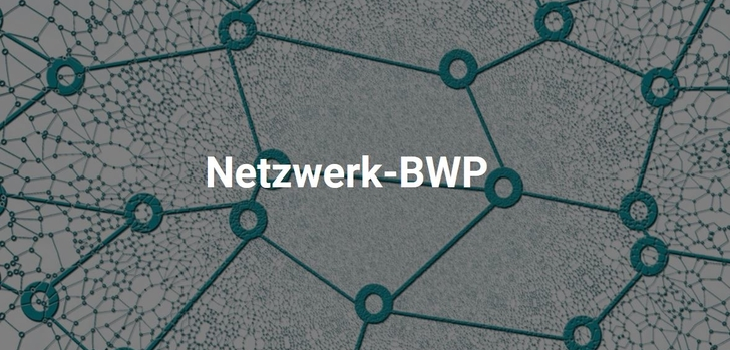 Logo Netzwerk-BWP